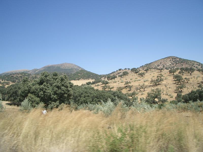 Zuid Spanje 2008 181.jpg
